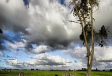 网球——墨西哥公开赛：鲁德胜兰德克内什.