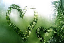 意昂体育官方：足球中国发布文明观赛倡议书：倡议球迷文明助威，尊重判罚.