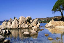 意昂体育官方：半场战报：巴拉圭-智利，卢卡斯-塞佩达多次造险.